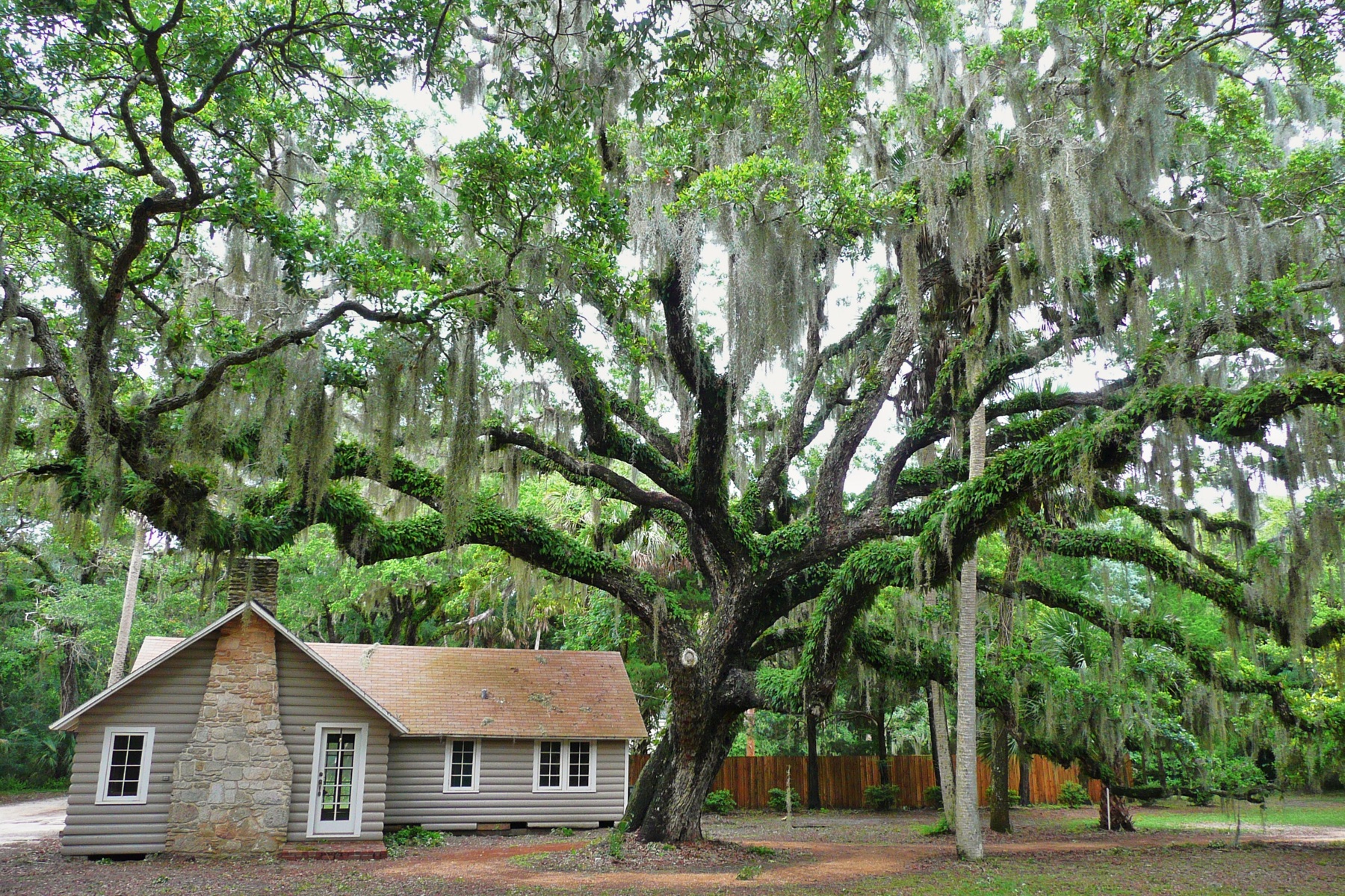 Historic building beneath a moss-draped live oak at Washington Oaks Gardens